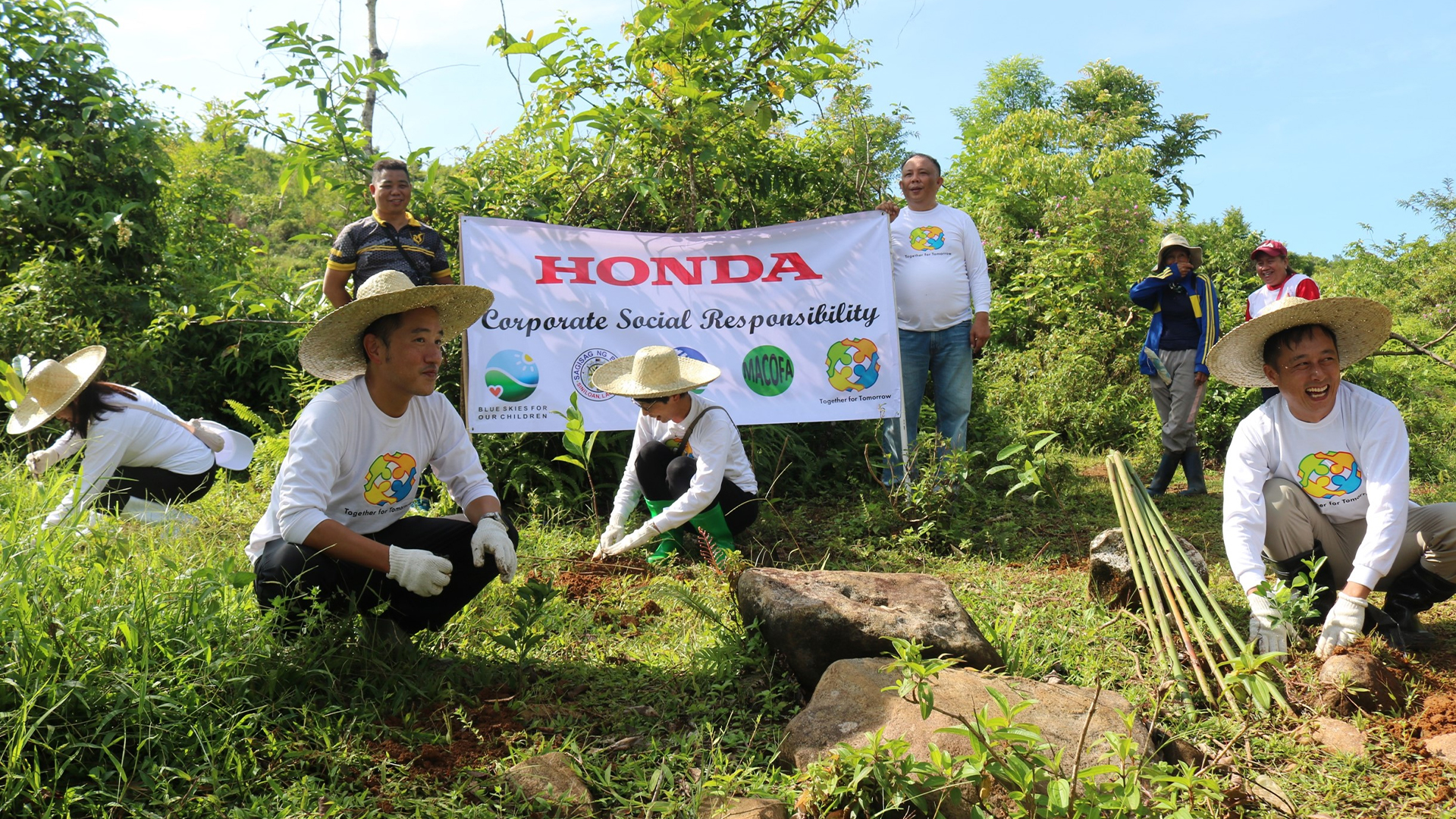 Tree planting 1920x1080 3
